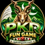 PKR Fun Game