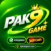 Pak9 Game